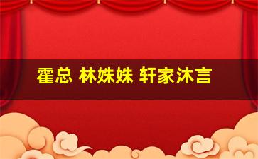 霍总 林姝姝 轩家沐言